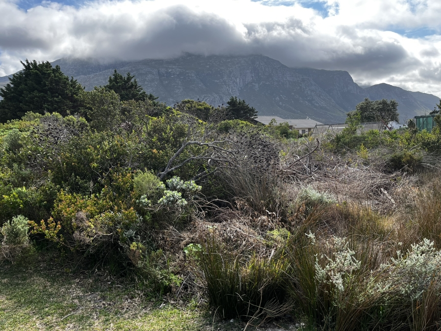 0 Bedroom Property for Sale in Bettys Bay Western Cape